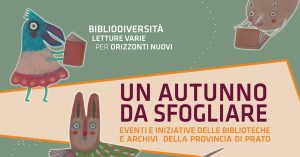 Copertina di Un autunno da sfogliare